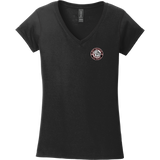 Ice Dogs Softstyle Ladies Fit V-Neck T-Shirt