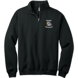 Biggby Bulldogs Tier 3 NuBlend 1/4-Zip Cadet Collar Sweatshirt