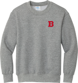 CT Bobcats Youth Core Fleece Crewneck Sweatshirt